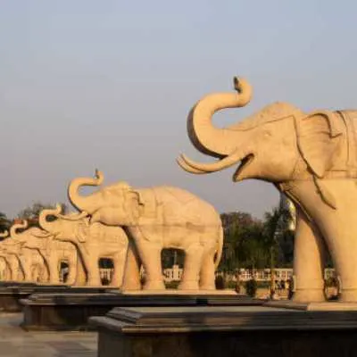 Best packers and movers from Hyderabad to Noida Paresha Cargo